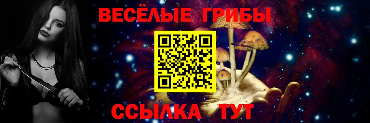 Аргун  Галлюциногенные грибы мухоморы  цена   Вход с VPN  Псилоцибиновые грибы GOLDEN TEACHER 