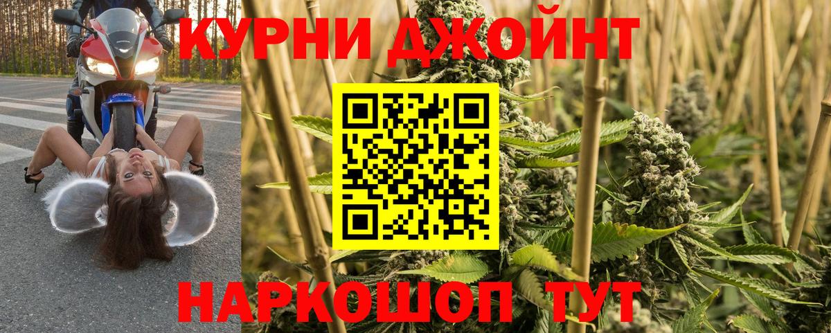 Конопля конопля Аргун